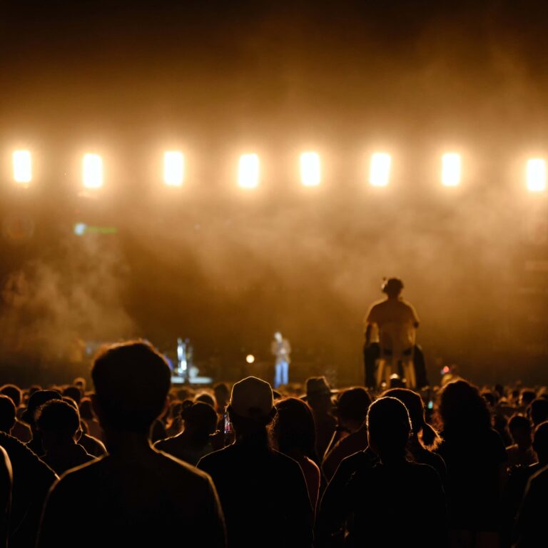 Silhouette youth audience are watching the night concert